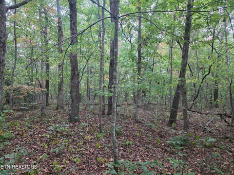 Tiny photo for N Lake Tr, Monterey, TN 38574 (MLS # 1357697)