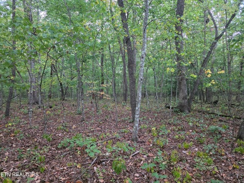 Tiny photo for N Lake Tr, Monterey, TN 38574 (MLS # 1357697)