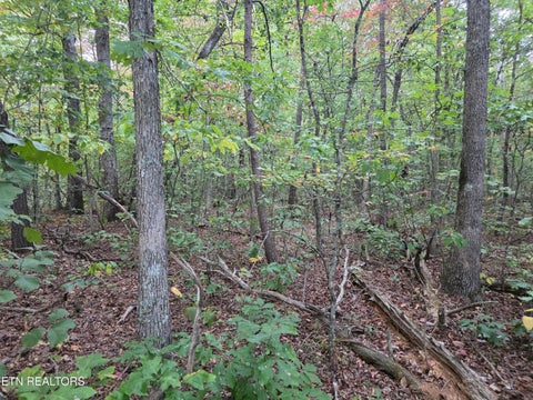 Tiny photo for N Lake Tr, Monterey, TN 38574 (MLS # 1357697)