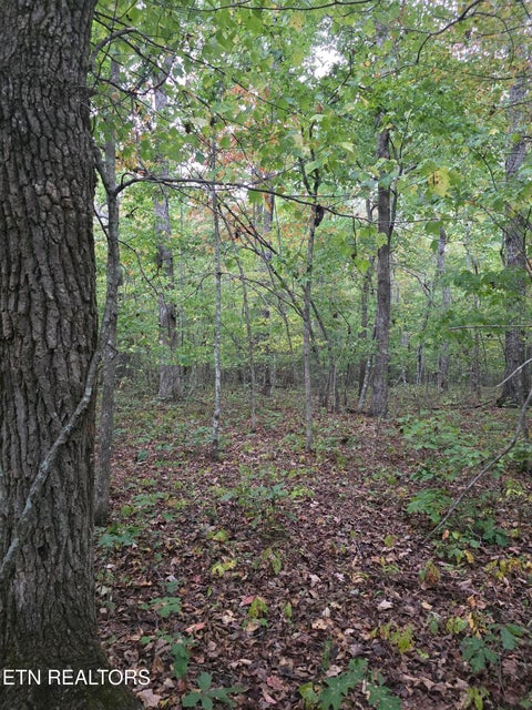 Tiny photo for N Lake Tr, Monterey, TN 38574 (MLS # 1357697)
