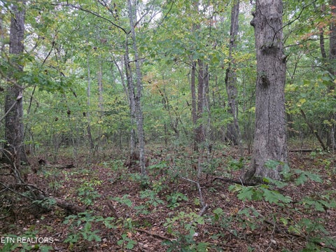 Tiny photo for N Lake Tr, Monterey, TN 38574 (MLS # 1357697)