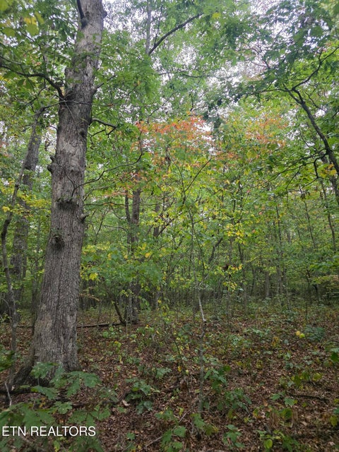 Tiny photo for N Lake Tr, Monterey, TN 38574 (MLS # 1357697)