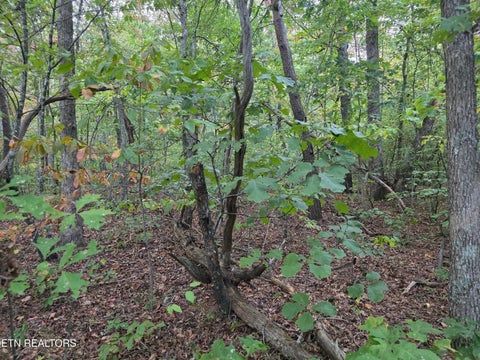 Tiny photo for N Lake Tr, Monterey, TN 38574 (MLS # 1357697)