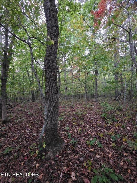 Tiny photo for N Lake Tr, Monterey, TN 38574 (MLS # 1357697)