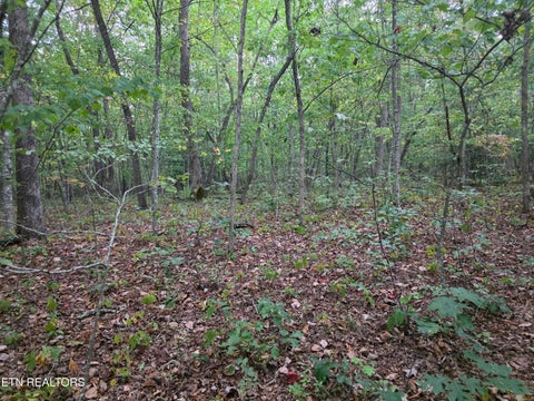 Tiny photo for N Lake Tr, Monterey, TN 38574 (MLS # 1357697)