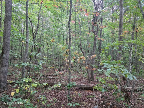 Tiny photo for N Lake Tr, Monterey, TN 38574 (MLS # 1357697)