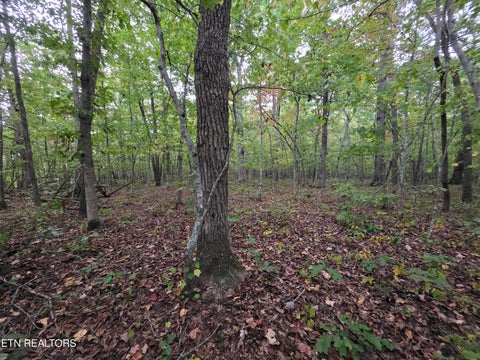 Photo of N Lake Tr, Monterey, TN 38574 (MLS # 1357697)