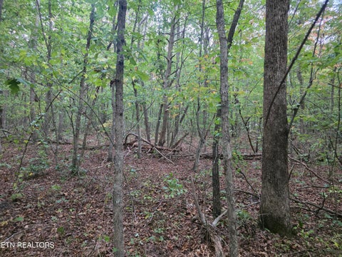 Tiny photo for N Lake Tr, Monterey, TN 38574 (MLS # 1357697)