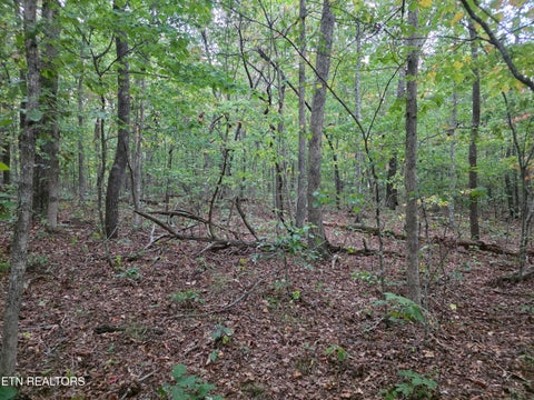 Tiny photo for N Lake Tr, Monterey, TN 38574 (MLS # 1357697)