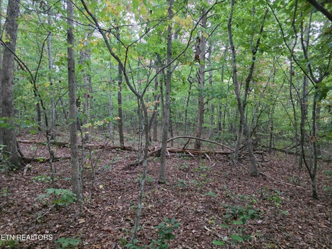 Tiny photo for N Lake Tr, Monterey, TN 38574 (MLS # 1357697)