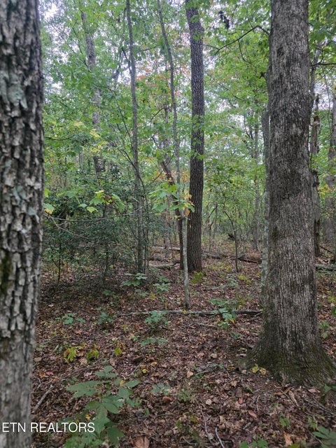 Tiny photo for N Lake Tr, Monterey, TN 38574 (MLS # 1357697)