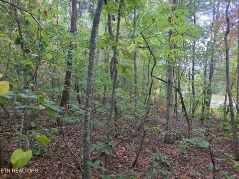 Tiny photo for N Lake Tr, Monterey, TN 38574 (MLS # 1357697)
