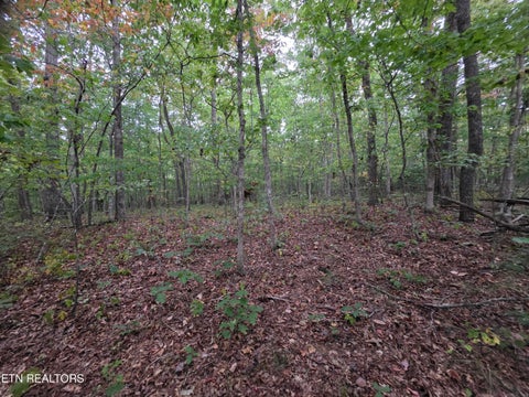Tiny photo for N Lake Tr, Monterey, TN 38574 (MLS # 1357697)