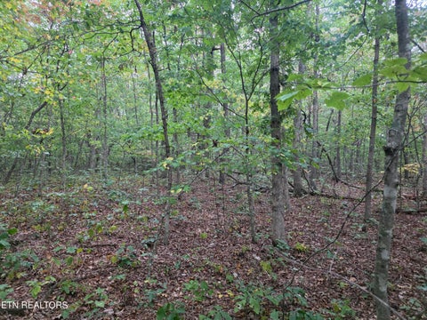 Tiny photo for N Lake Tr, Monterey, TN 38574 (MLS # 1357697)