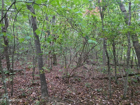 Tiny photo for N Lake Tr, Monterey, TN 38574 (MLS # 1357697)