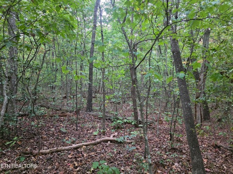 Tiny photo for N Lake Tr, Monterey, TN 38574 (MLS # 1357697)