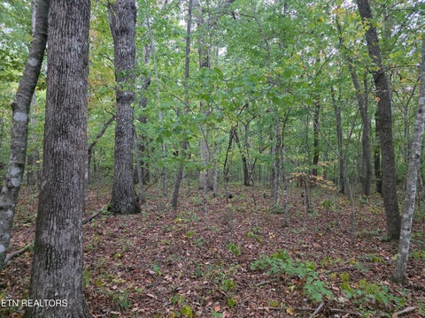 Tiny photo for N Lake Tr, Monterey, TN 38574 (MLS # 1357697)