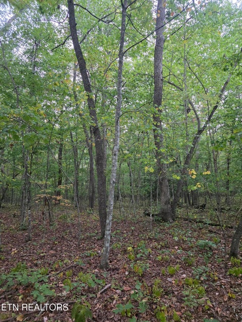 Tiny photo for N Lake Tr, Monterey, TN 38574 (MLS # 1357697)