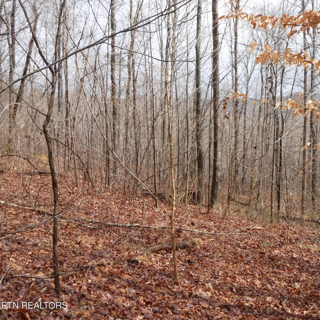 Photo of 14 Cheyenne Drive, Jamestown, TN 38556 (MLS # 1333017)