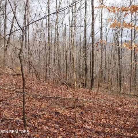 Photo of 14 Cheyenne Drive, Jamestown, TN 38556 (MLS # 1333017)