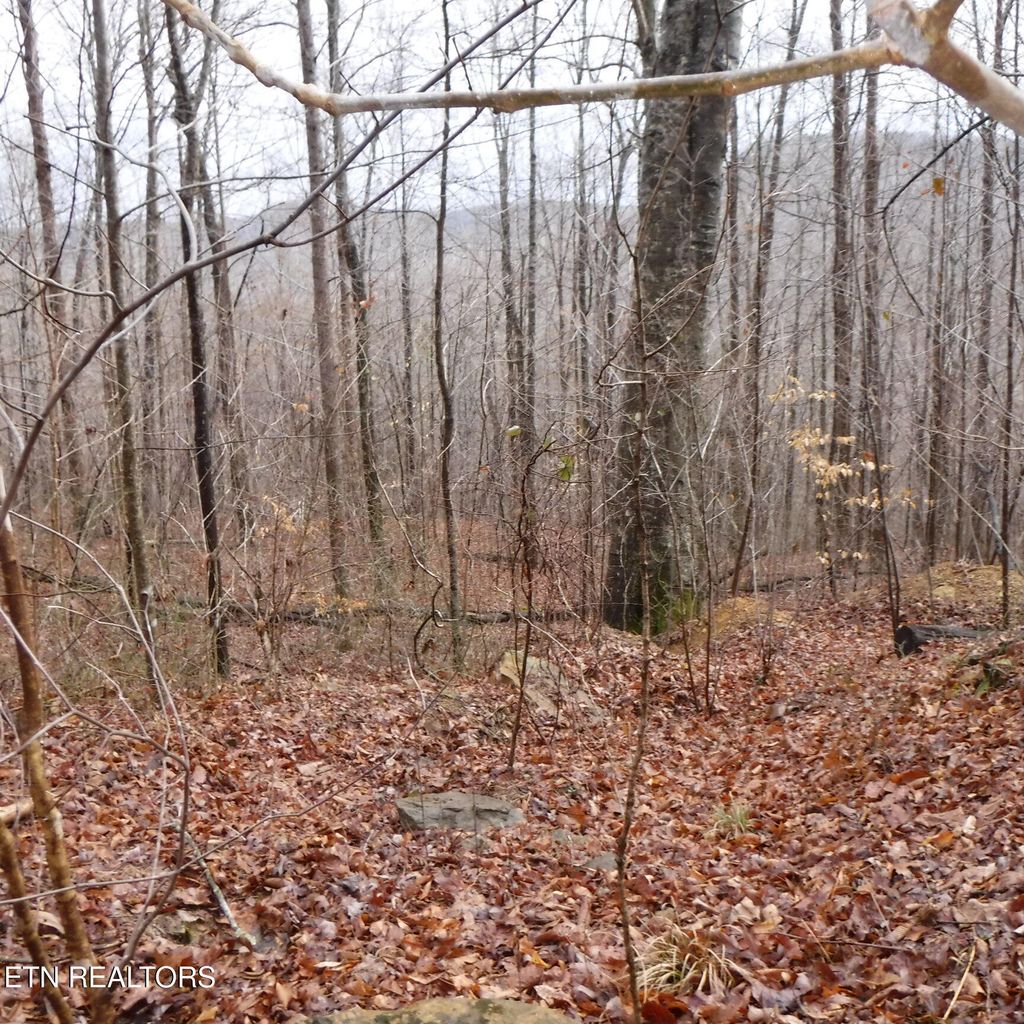 Photo of 14 Cheyenne Drive, Jamestown, TN 38556 (MLS # 1333017)