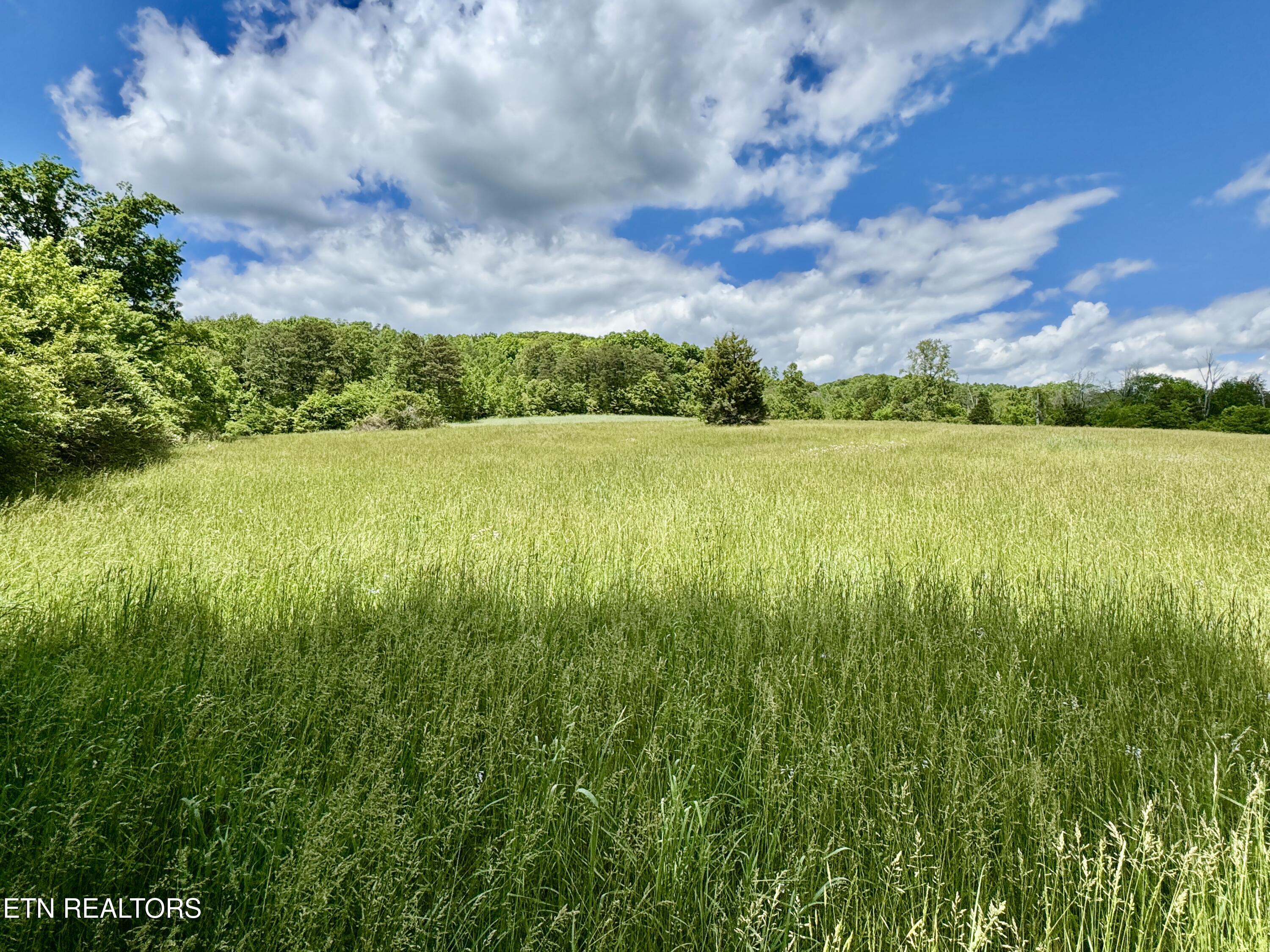 E Raccoon Valley Drive