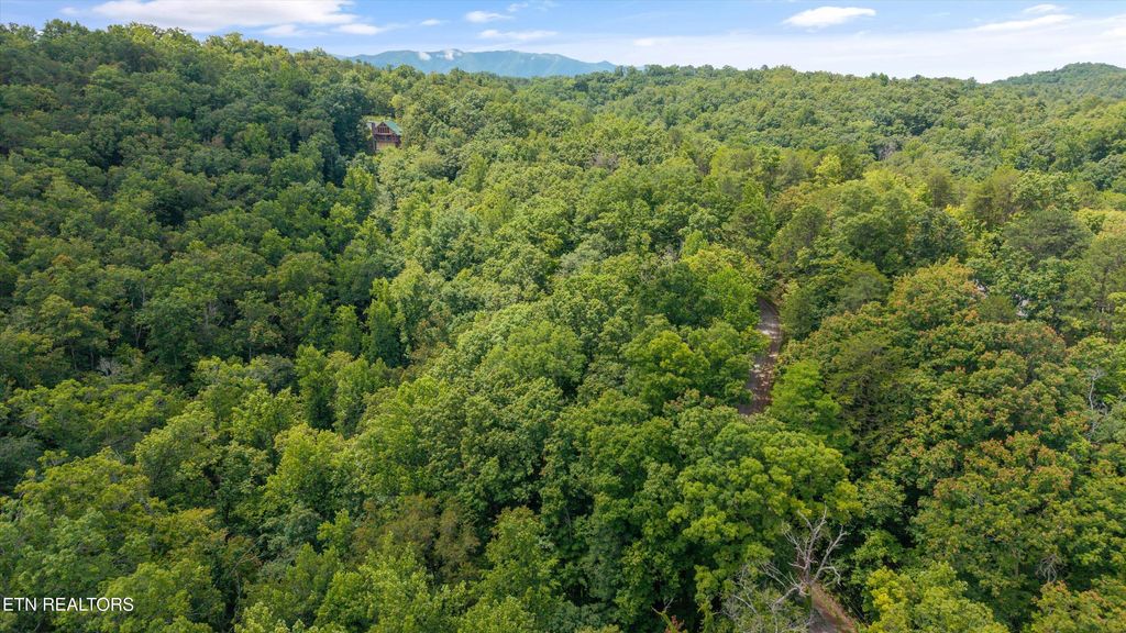 Photo of 1618 Walnut Flats Rd, Walland, TN 37886 (MLS # 1304915)