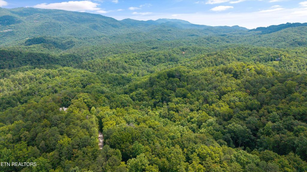 Photo of 1618 Walnut Flats Rd, Walland, TN 37886 (MLS # 1304915)