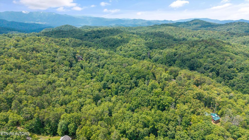 Photo of 1618 Walnut Flats Rd, Walland, TN 37886 (MLS # 1304915)