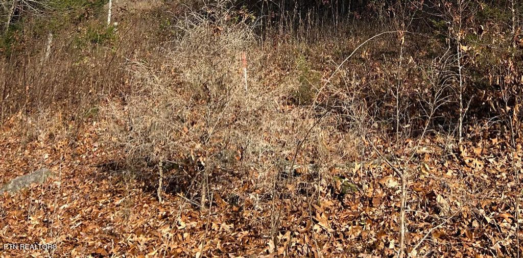 Photo of Powell River Rd, Tazewell, TN 37879 (MLS # 1246904)