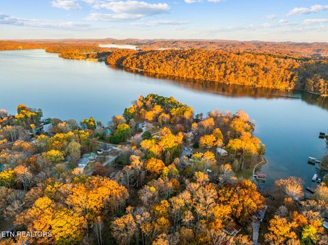 Tiny photo for Lakeville Drive, Spring City, TN 37381 (MLS # 1322198)