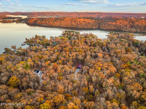 Tiny photo for Lakeville Drive, Spring City, TN 37381 (MLS # 1322198)