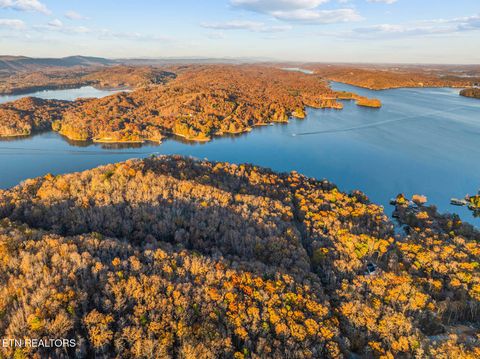 Tiny photo for Lakeville Drive, Spring City, TN 37381 (MLS # 1322198)