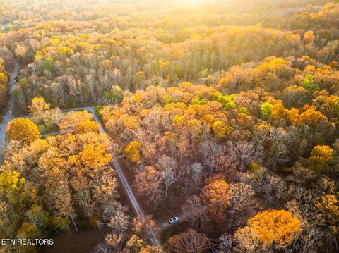 Tiny photo for Lakeville Drive, Spring City, TN 37381 (MLS # 1322198)