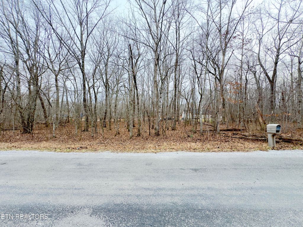 Photo of 6260 Osage Rd, Crossville, TN 38572 (MLS # 1329750)