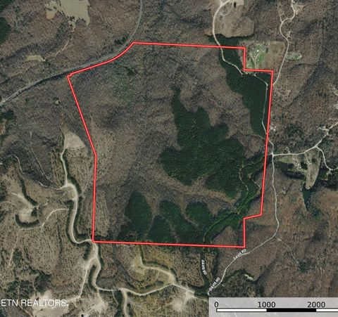 Photo of Davis Rd, Sunbright, TN 37872 (MLS # 1333196)