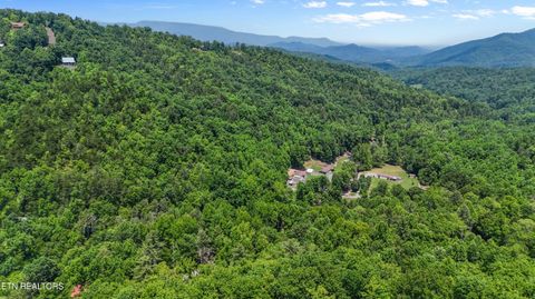 Tiny photo for 4539 Houge Way, Cosby, TN 37722 (MLS # 1319383)