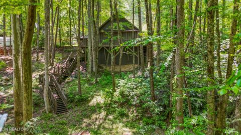 Tiny photo for 4539 Houge Way, Cosby, TN 37722 (MLS # 1319383)