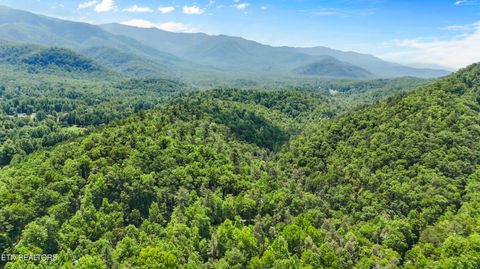 Tiny photo for 4539 Houge Way, Cosby, TN 37722 (MLS # 1319383)