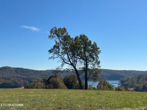 Photo of 41 Deer Trail Tr, LaFollette, TN 37766 (MLS # 1330249)
