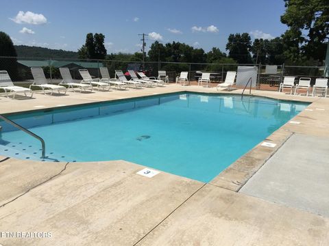 Tiny photo for 41 Deer Trail Tr, LaFollette, TN 37766 (MLS # 1330249)