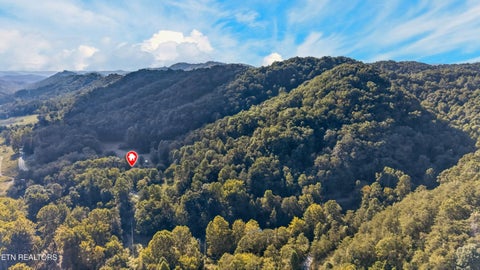 Tiny photo for 9089 Highway 66, Sneedville, TN 37869 (MLS # 1356076)
