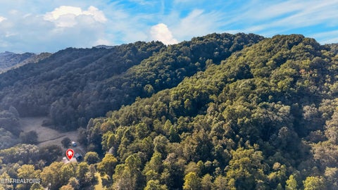Tiny photo for 9089 Highway 66, Sneedville, TN 37869 (MLS # 1356076)