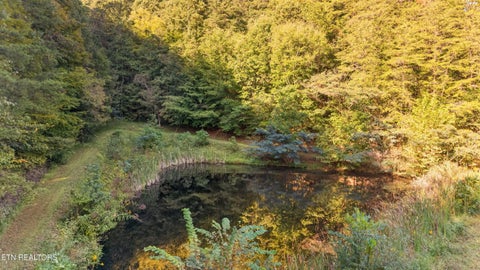 Tiny photo for 9089 Highway 66, Sneedville, TN 37869 (MLS # 1356076)