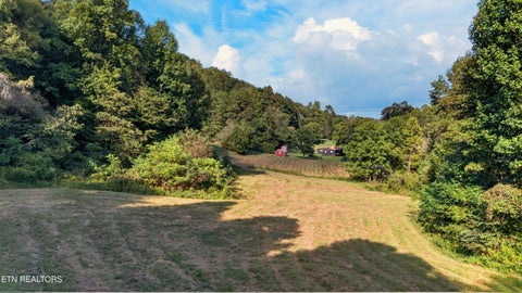 Tiny photo for 9089 Highway 66, Sneedville, TN 37869 (MLS # 1356076)