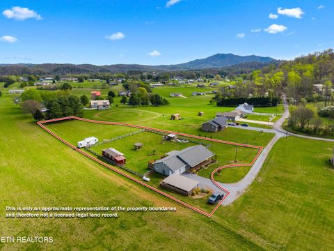 Photo of 1159 Camellia Rd, Newport, TN 37821 (MLS # 1335694)
