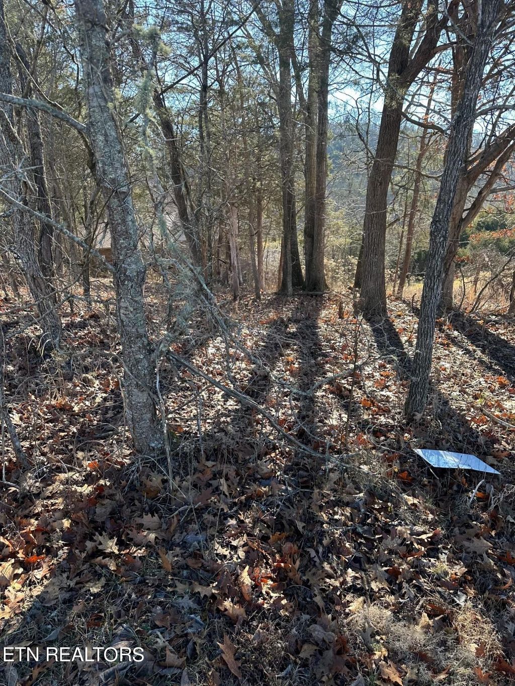 Photo of 469 Woodlake Blvd, Tazewell, TN 37879 (MLS # 1249848)