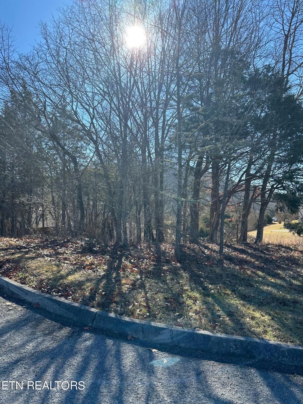 Photo of 469 Woodlake Blvd, Tazewell, TN 37879 (MLS # 1249848)