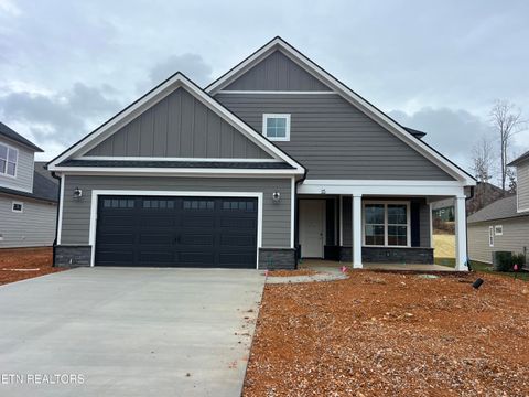 Photo of 115 River Birch Drive, Lenoir City, TN 37771 (MLS # 1331841)