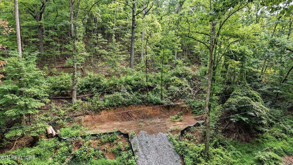 Photo of 0 Dry Gap Pike, Knoxville, TN 37918 (MLS # 1352866)